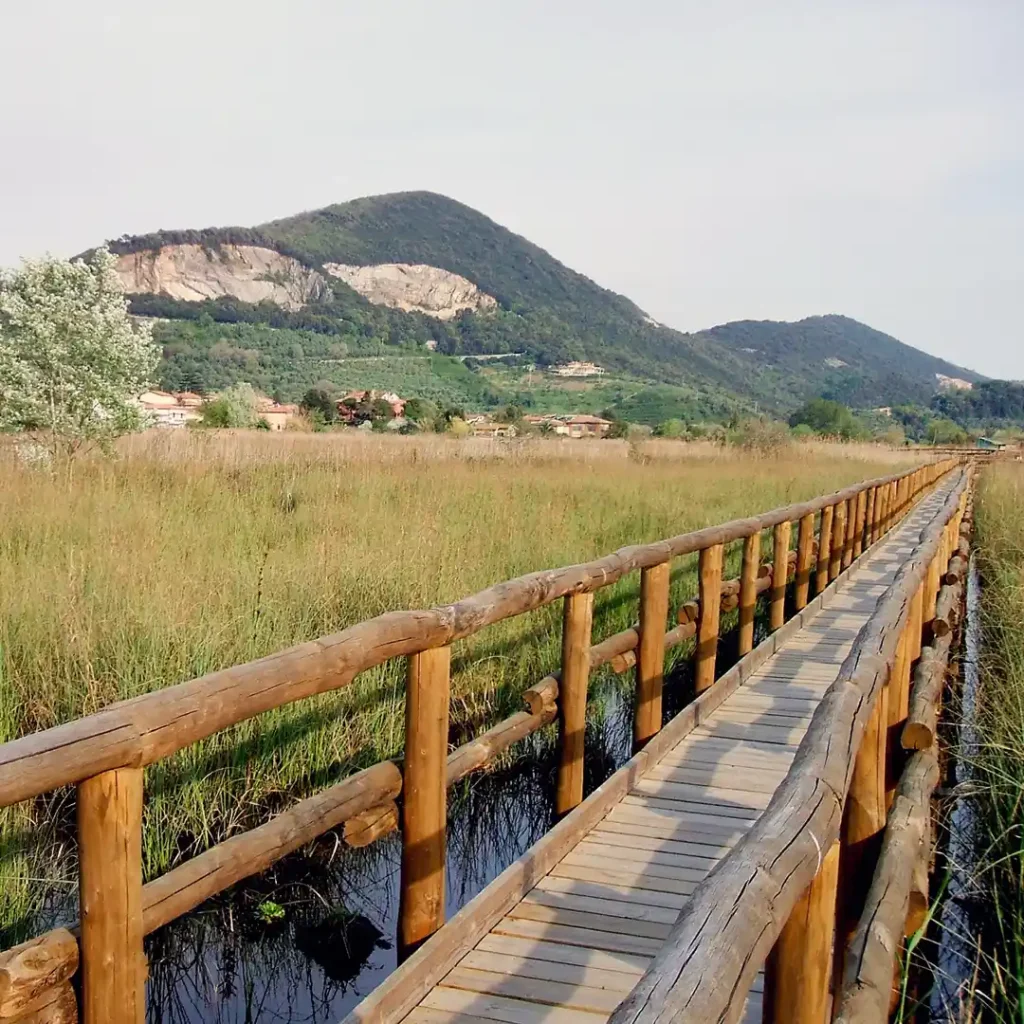 Trekking a Massaciuccoli - Lucca 	Un itinerario speciale che ti condurrà nella natura del lago, dove scoprire fauna e piante meravigliose e l'opportunità di visitare parchi storici. 	Difficoltà: facile 	Durata: circa 3 ore 	Guida: Italiano - Inglese