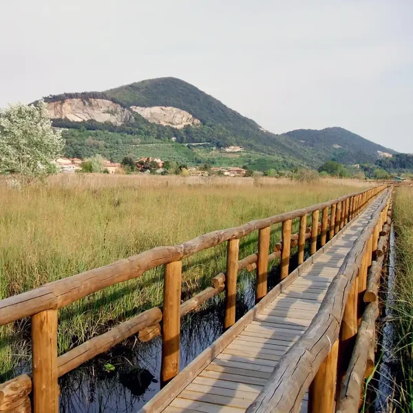 Trekking Lake Massaciuccoli
